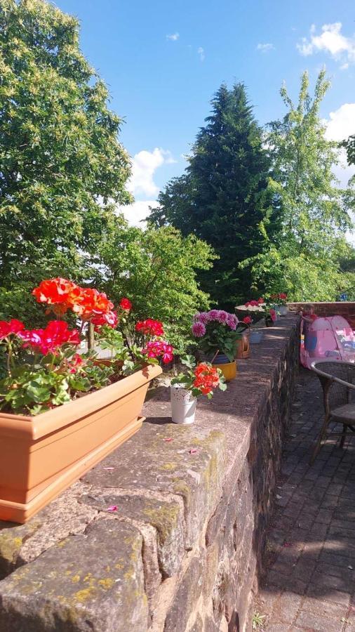 Privat Appartment Fockelberg Экстерьер фото