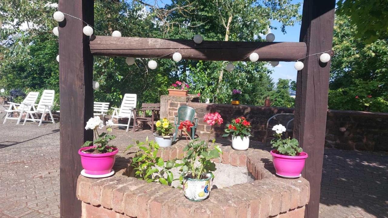 Privat Appartment Fockelberg Экстерьер фото